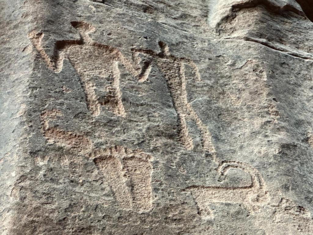 Bedouin Tours Camp Hotell Wadi Rum Eksteriør bilde